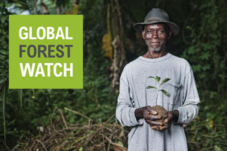 Global Forest Watch