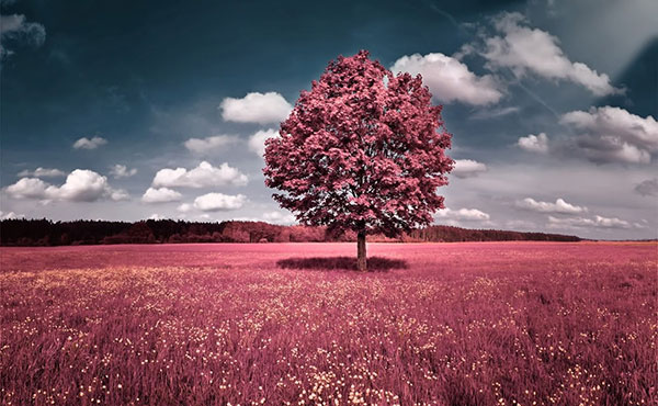 red-tree