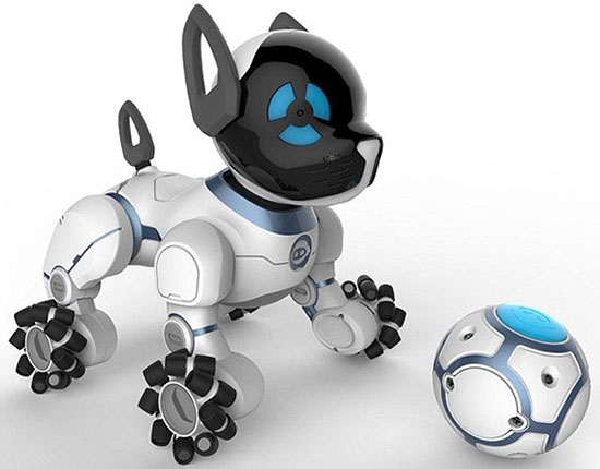 robot dog