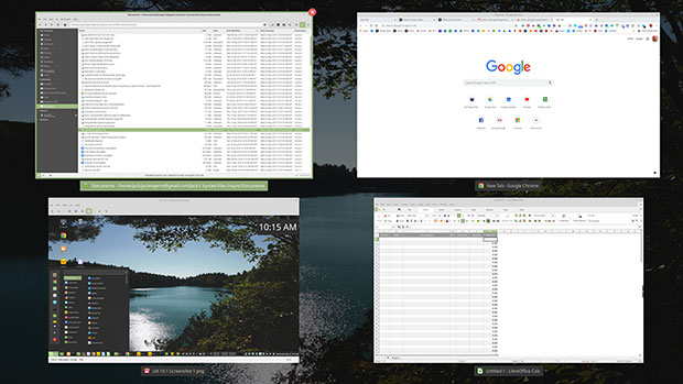 Linux mint 19.1 Tessa, Scale and Expo views