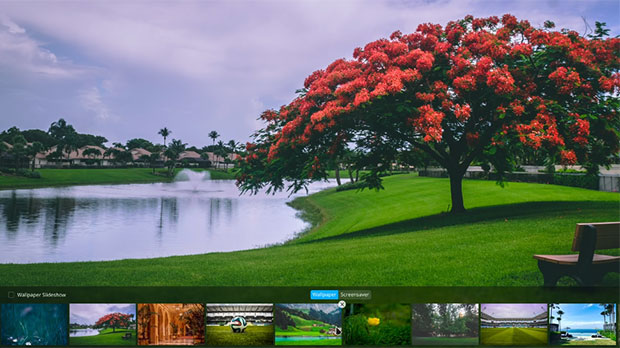 Deepin Linux 15.10 Wallpaper selection panel and slideshow feature