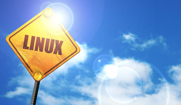 linux owes its success as much to businesses as to its community of developers