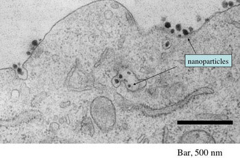 nanoparticle