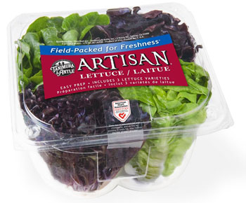 Tanimura & Antle Artisan Lettuce