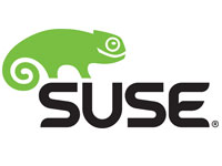 Suse Linux Endeavor 15 Bridges Conventional, Instrument-Outlined Methods