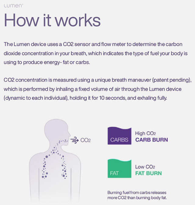 How Lumen works