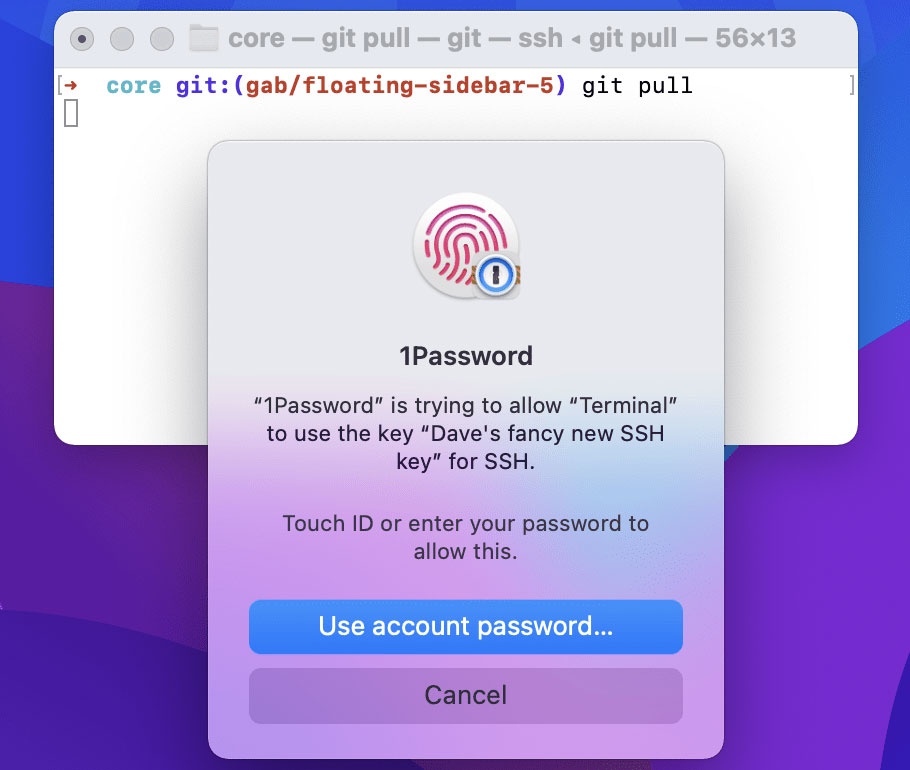 1Password CLI Touch ID