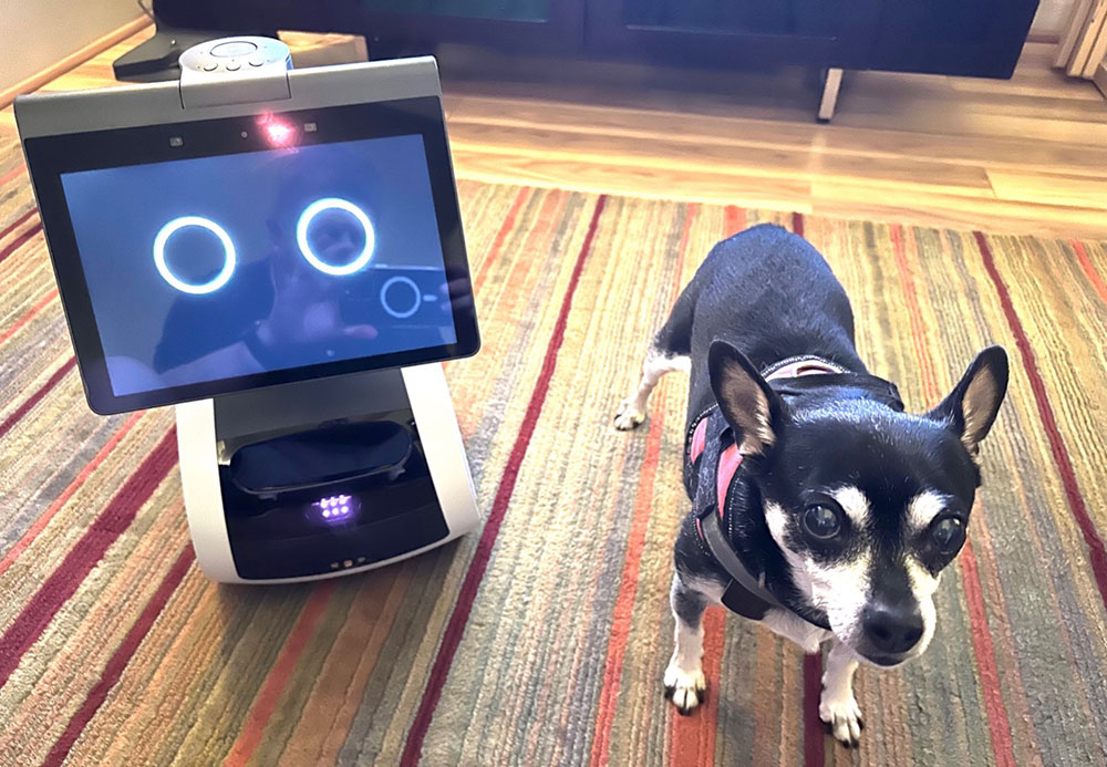 Astro Review: It's Cute, Getting More Automated and Not Worth It Yet  - CNET