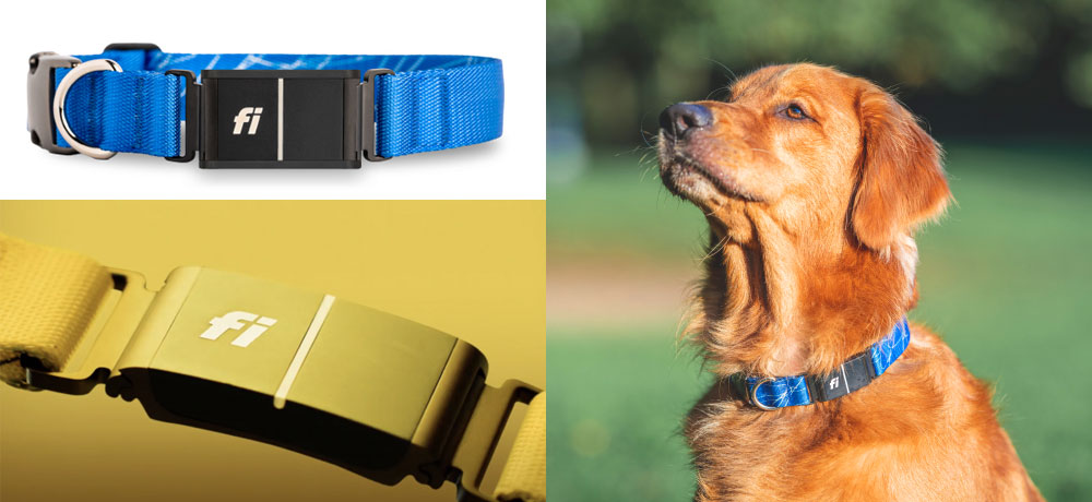 Collar para perros Fi Series 3 dispositivo GPS para seguimiento de mascotas