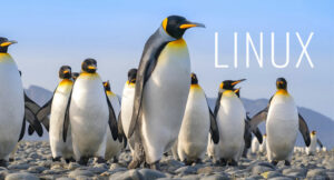 Linux software review